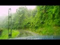 wandering in the rain a peaceful forest road trip dedugala sri lanka placid traveler