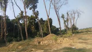 আলতাদীঘি জাতীয় উদ্যান ধামুরহাট, নওগাঁ। Altadighi National Park Dhamurhat Naogaon.