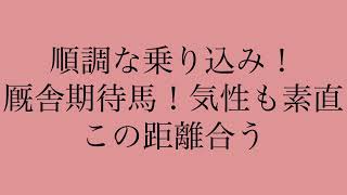 10/9  中央競馬注目新馬予想