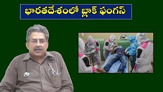 Black Fungus In India | భారతదేశంలో బ్లాక్ ఫంగస్