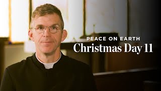 What Do You Long For? - Peace on Earth - Fr. Jonathan Meyer