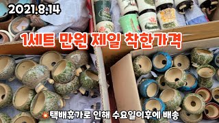 수제 공방분 1세트 1만원(2탄) 서초구 무지개다육 💥택배휴가로 수요일이후에 배송