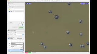 Intro to Pixel Classification in ilastik - AskErinDearBeth Episode 11