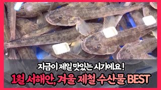 1월, 지금 꼭 맛봐야 할 ‘서해안’ 제철 수산물 Best 추천! 서해안에서 뭘 먹을지 고민은 이걸로 끗!😚