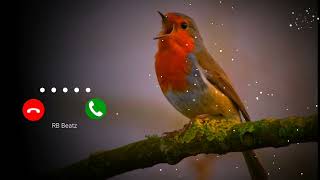 Bird Bgm Ringtones, Bird chirping, Instrumental ringtone, Bird Sound ringtones