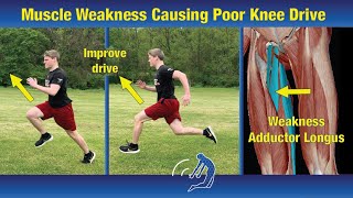 Faster Sprint Times by Improving Knee Drive - Muscle Weakness Causing Poor Knee Drive