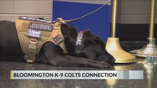 Electronic detection K9 donated to Bloomington Police Department