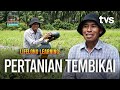 PERTANIAN TEMBIKAI | LIFELONG LEARNING MUSIM 2 | TVS Entertainment