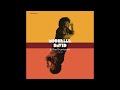 Michelle David & The True-tones - Better Days