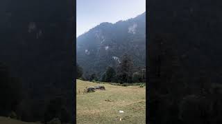 #shortsvideo#nature#viralvideo #morning#views#bhanar#uttarakhand#bageshwar#