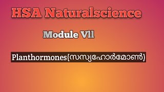 plant hormones(സസ്യ ഹോർമോൺ )