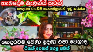 පිළිවෙල ,පිරිසිදු කමත් එක්ක හැම වැඩේම ලස්සනට කරන්න ඉගෙනගමු💐