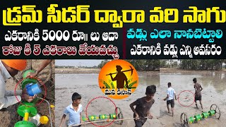 Drum Seeder Paddy Cultivation | డ్రమ్ సీడర్ ద్వారా వరి విత్తడం వల్ల ఎకరాకు 5000 లాభం | Mana Kisan Tv