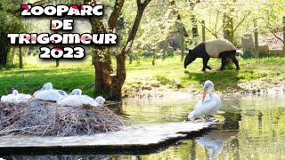 ZOOPARC de TRÉGOMEUR 2023