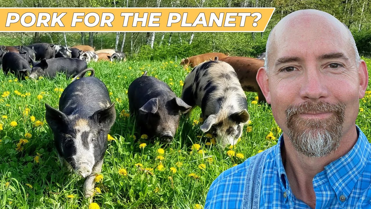 Live Tour Singing Pastures Regenerative Pig Farming Youtube