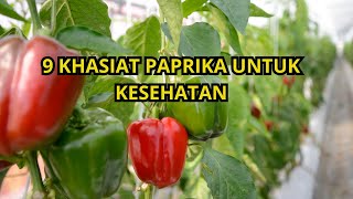 9 Khasiat paprika untuk kesehatan