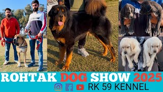 Dog Show Rohtak 2025 Haryana || Cheapest Puppy Market In Dog Show Rohtak 2025