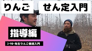 【りんご栽培入門】＃3　初心者がやるとどうなる？高密植栽培ふじの整枝・せん定、誘引【指導編】