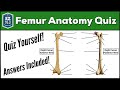 Femur Bone Anatomy Quiz [Labeled Diagram]