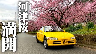 【ループ橋】峠を越えて、伊豆へ河津桜を見に行こう　伊豆花見ドライブ① 　　HONDA BEAT POV