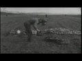 187th airborne regimental combat team in massive troop drop near k 2 taegu duri...hd stock footage