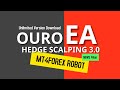 OURO HEDGE SCALPING 3.0 EA - Back-TEST & Unlimited Version Download