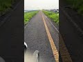 朝からゆるふわサイクリング