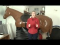 How to turn the horse