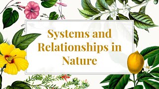 Ed-Venture: Systems and Relationships in Nature