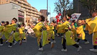 彩夏祭2024・前夜祭 ～ 朝霞鳴子一族め組 （朝霞駅東口）