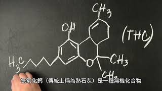 關於氫氧化鈣（傳統上稱為熟石灰）您需要了解的一切 - 一種化學式為 Ca(OH)2 的無機化合物