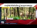 ഇടുക്കി കോട്ടയം അതിർത്തിയിൽ ഭയം വിതച്ച് ഇരുപതിലേറെ ആനകൾ idukki wild elephant mathrubhumi news