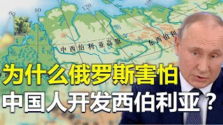 西伯利亚是聚宝盆？有何特殊？为什么俄罗斯害怕中国人去开发？【地球记】