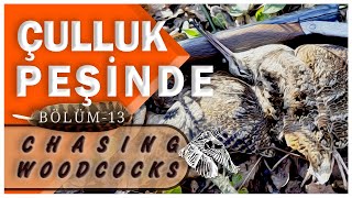 Çulluk Peşinde Bölüm-13 / Çulluk Avı - Chasing Woodcocks Part-13 #hunting #outdoors #dog #beccaccia