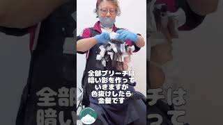 【白髪隠しメッシュ】失敗しない白髪ぼかしメッシュのオーダー方法 | 美容師が伝授 #美容師 #札幌美容室 #バレイヤージュ  #白髪染め  #白髪改善 #白髪ぼかし  #白髪 #白髪染め  #美容室