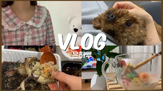 VLOG 브이로그🌵| 잔잔한 일상 | 밥도둑 간장게장 게딱지에 밥 비벼서 집밥💛 | 먹구 자구x2 백수 강아지🐶 푸들카누 | 오랜만에 처갓집 슈프림 양념치킨