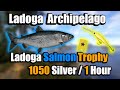 Ladoga Archipelago Hot Spot 1000 Silver / 1 Hour - Russian Fishing 4 RF4 #444