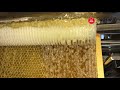 swienty a s denmark easy uncapping machine for honey combs without motor