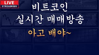 비트코인 실시간 매매 방송 - 아고 배야~  [25년1월18일]