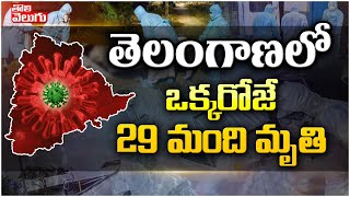 తెలంగాణ‌లో ఒక్క‌రోజే 29 మంది మృతి | Corona Virus Cases In Telangana | Tolivelugu TV