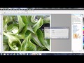 Corel PHOTO-PAINT X5 - How to turn a Photo to Impressionist Art Work