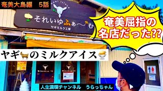 【奄美カフェ】奄美屈指のスイーツ屋だった？ヤギのミルクソフト🍦🐐