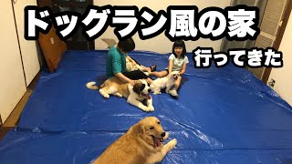 【超大型犬】友達の家がドッグラン風で最高