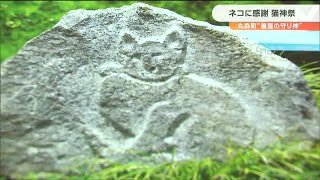 ネズミから蚕・繭を守った「猫は神様です」養蚕で栄えた丸森町で“猫神祭”開催　宮城