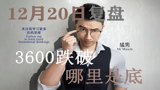 【猛男】—12月20日复盘：3600跌破，哪里是底？