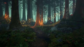 Enchanted Forest - Music & Ambience ✨🌲🧚🏻