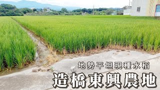 造橋東興農地C0434/住商不動產/頭份中央加盟店/竹南園區加盟店/苗栗頭份買房/房子開箱/房地產/不動產/開箱房子/大自然/造橋國小/菜車市場/頭份買房/頭份竹南找房/土地