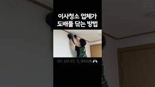 도배풀 청소하는 방법 #입주청소