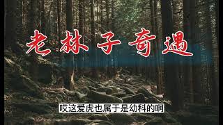 老林子奇遇【鬼话连篇】民间故事 鬼故事 民间传说 鬼怪奇闻 灵异故事 鬼怪离奇 长篇单口故事  单口长篇故事 评书