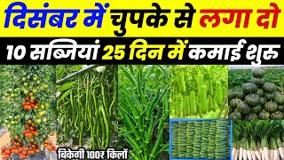 दिसंबर 2024 में कौनसी सब्ज़ी लगाएँ | December me konsi sabji lagaye🌱December me sabji ki kheti💸New